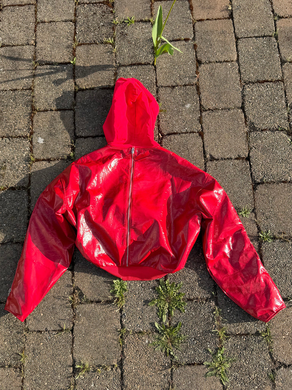 Zip up hoodie Jacket